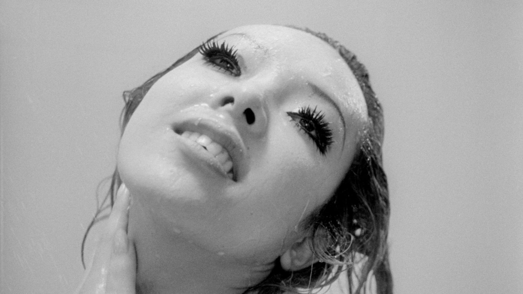 Funeral Parade of Roses