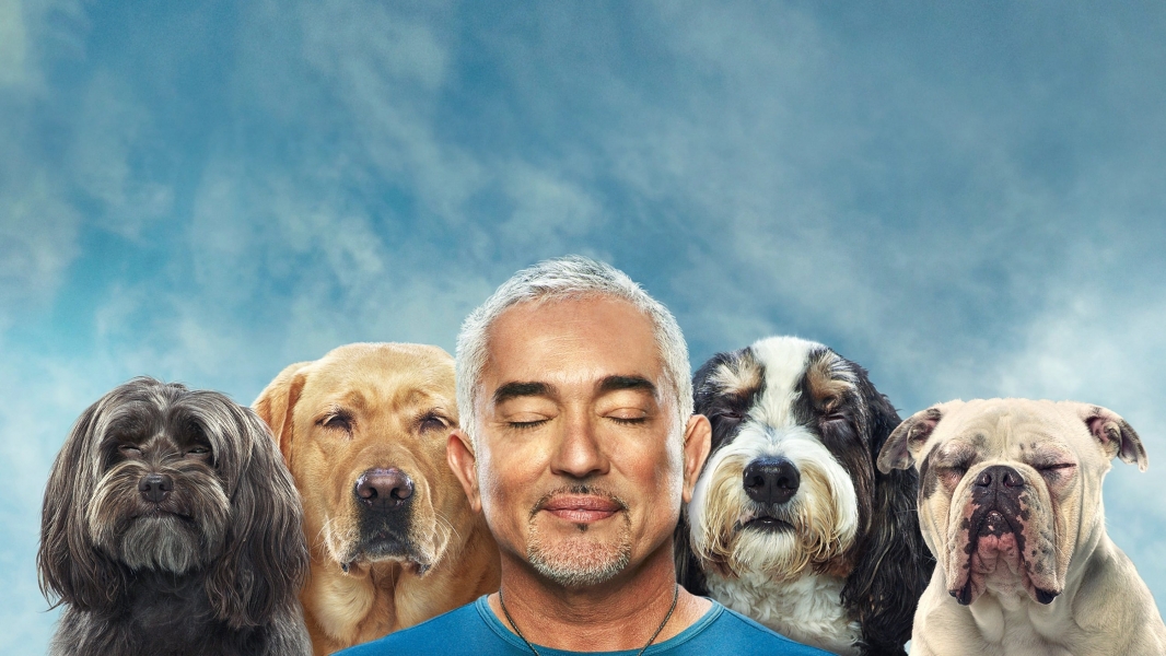 Cesar Millan: Better Human, Better Dog