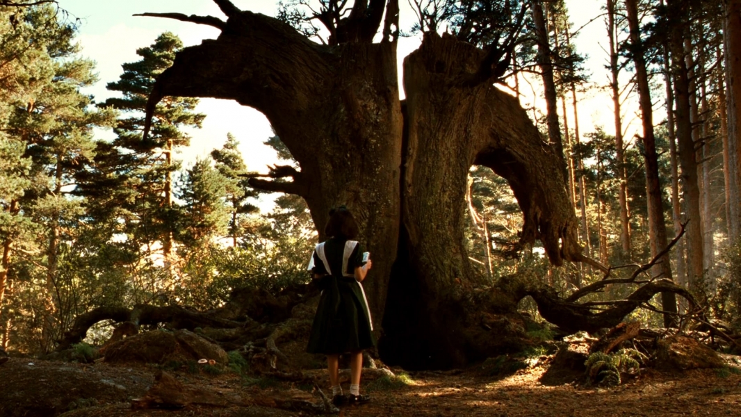 Pan's Labyrinth