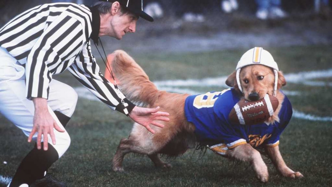 Air Bud: Golden Receiver